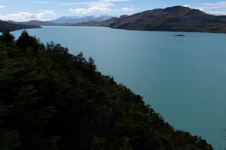 DSCF4112 (Medium).JPG