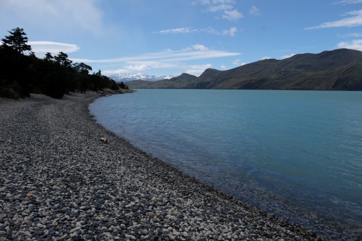 DSCF4119 (Medium).JPG