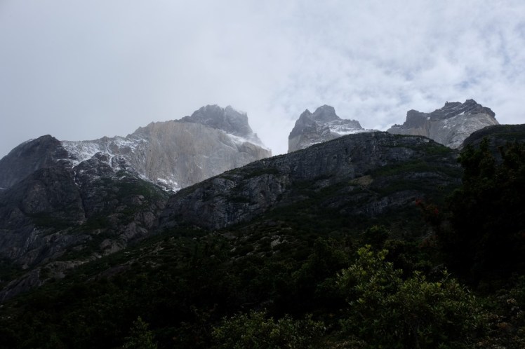 DSCF4147 (Medium).JPG