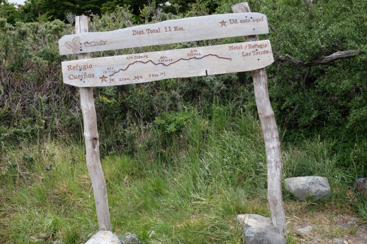 DSCF4172 (Medium).JPG