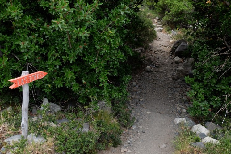 DSCF4178 (Medium).JPG