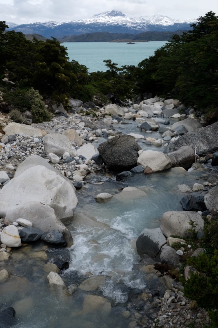 DSCF4179 (Medium).JPG