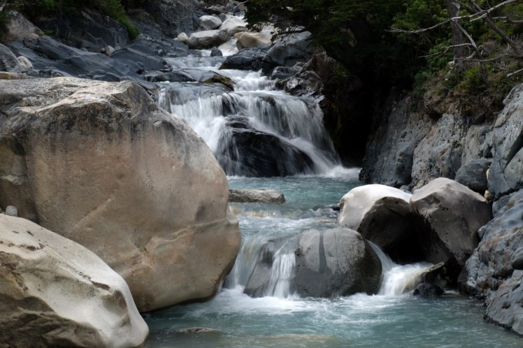 DSCF4181 (Medium).JPG