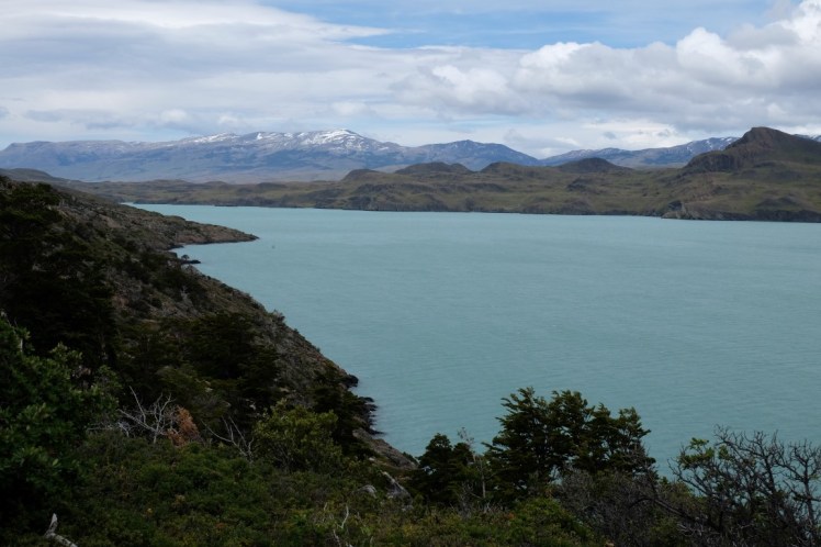 DSCF4183 (Medium).JPG