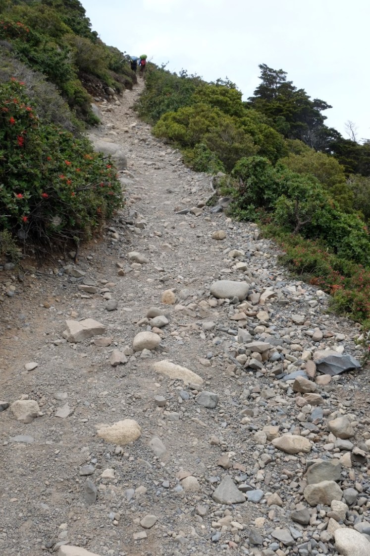 DSCF4188 (Medium).JPG