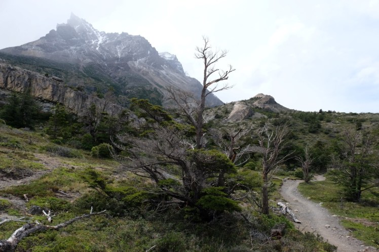 DSCF4194 (Medium).JPG