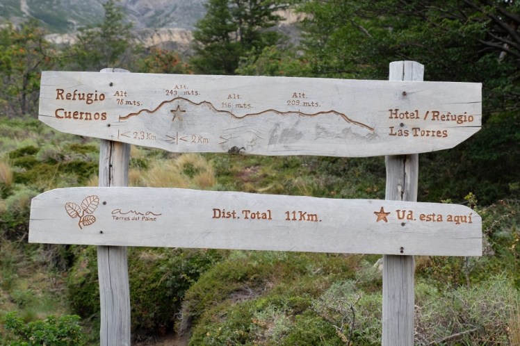 DSCF4197 (Medium).JPG