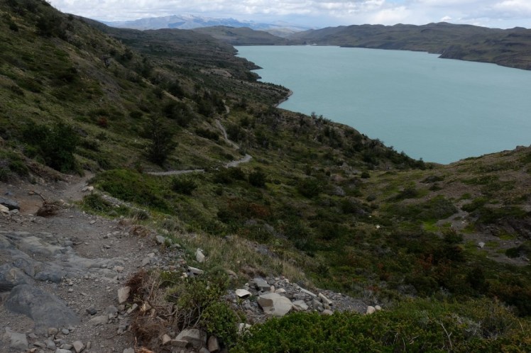 DSCF4207 (Medium).JPG