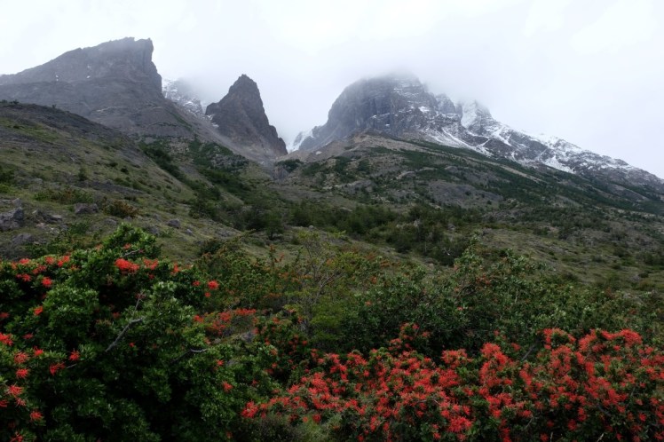 DSCF4213 (Medium).JPG