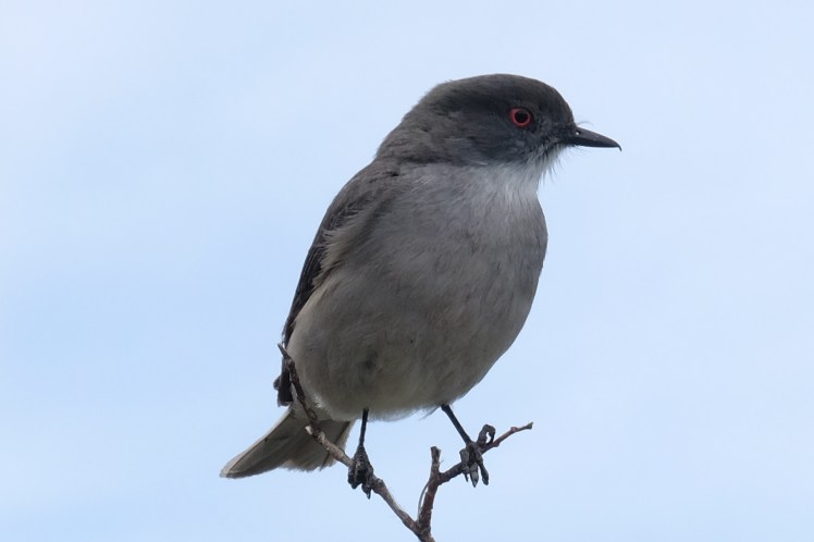 DSCF4218 - Copy-2.jpg