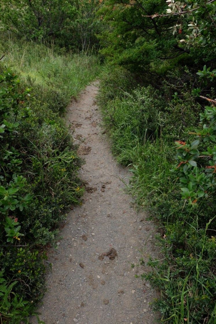 DSCF4222 (Medium).JPG