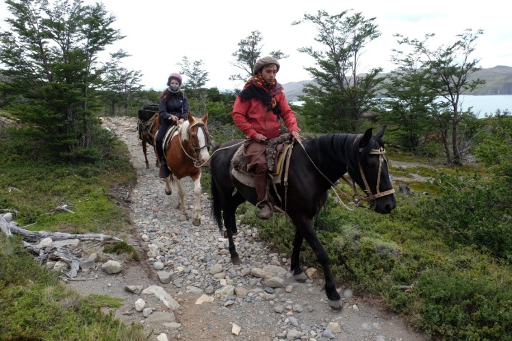 DSCF4224 (Medium).JPG