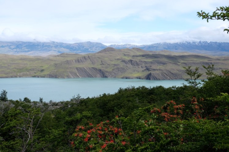 DSCF4232 (Medium).JPG