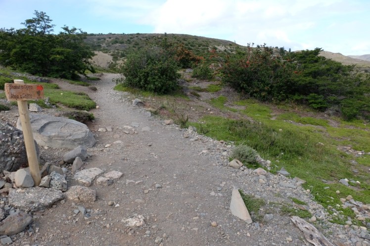 DSCF4234 (Medium).JPG