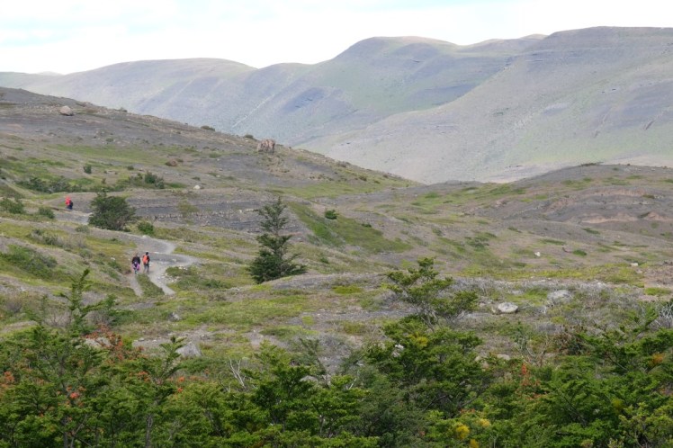 DSCF4237 (Medium).JPG