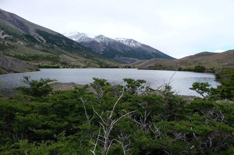 DSCF4258 (Medium).JPG