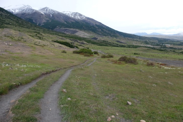 DSCF4264 (Medium).JPG