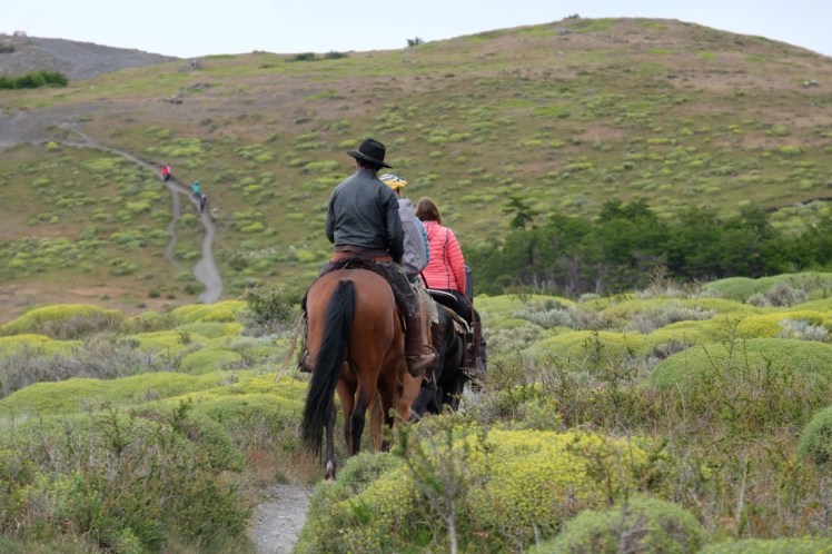 DSCF4266 (Medium).JPG