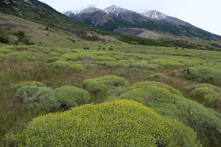 DSCF4268 (Medium).JPG