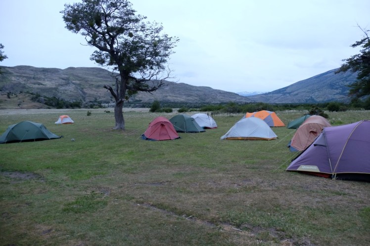 DSCF4779 (Medium).JPG