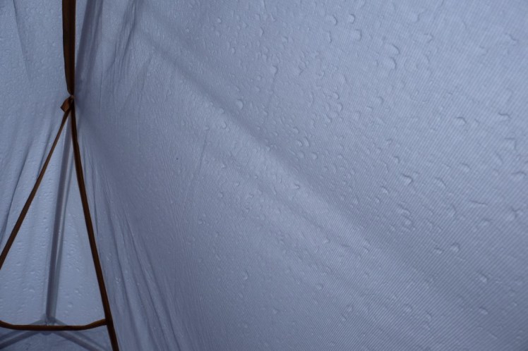 DSCF4786 (Medium).JPG