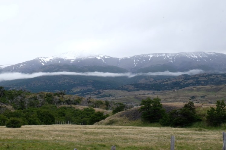 DSCF4788 (Medium).JPG