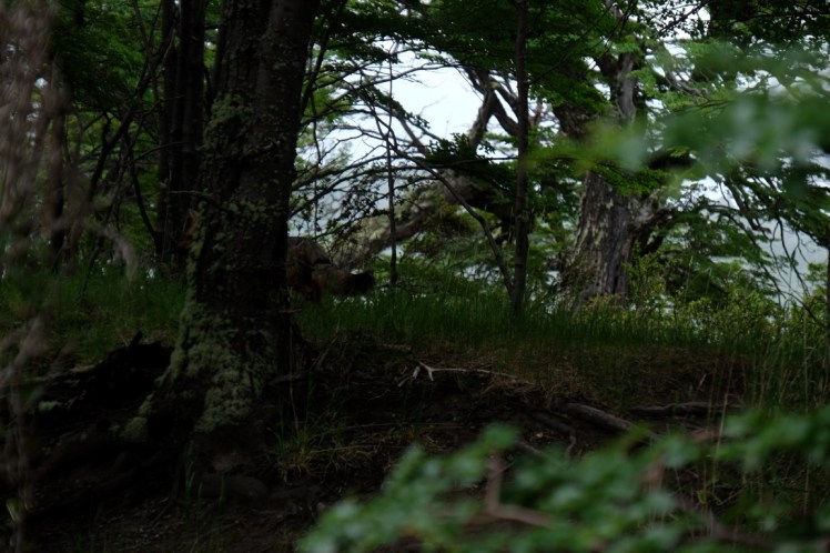 DSCF5053 (Medium).JPG