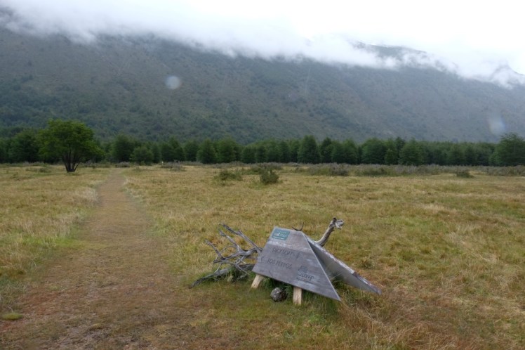 DSCF5056 (Medium).JPG