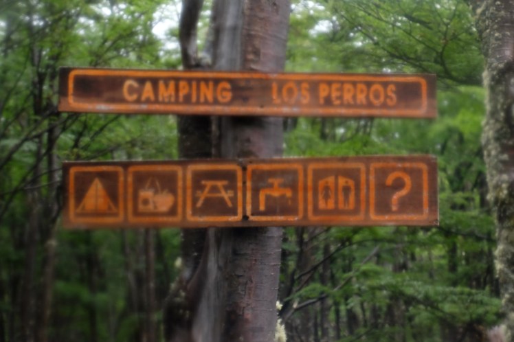 DSCF5133 (Medium).JPG