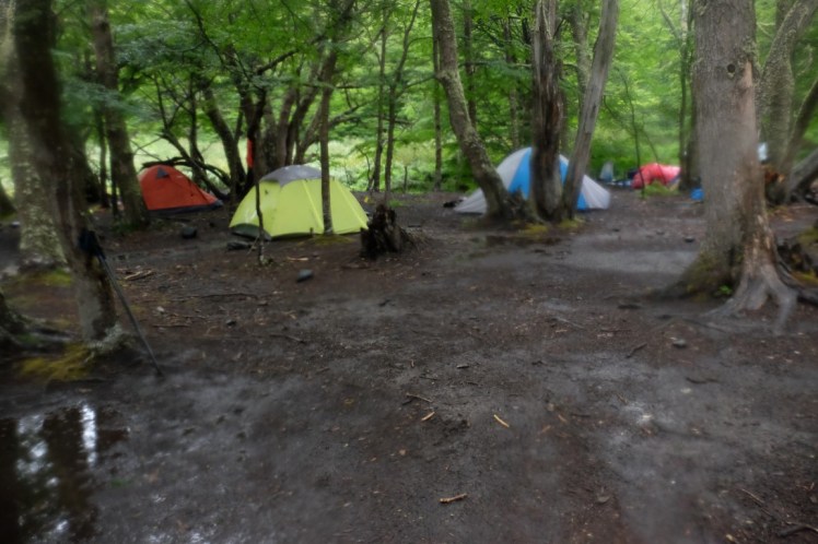 DSCF5135 (Medium).JPG