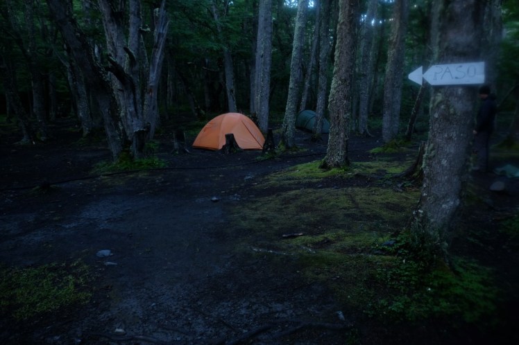 DSCF5143 (Medium).JPG