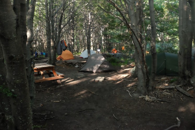 DSCF5387 (Medium).JPG