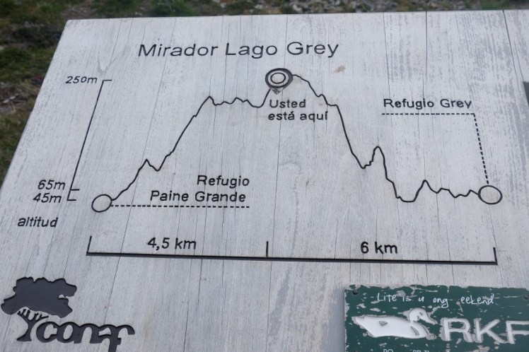 DSCF5454 (Medium).JPG