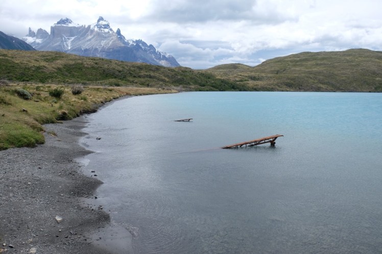 DSCF5525 (Medium).JPG