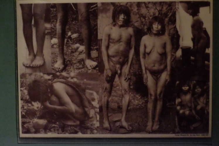 DSCF6123 (Medium).JPG