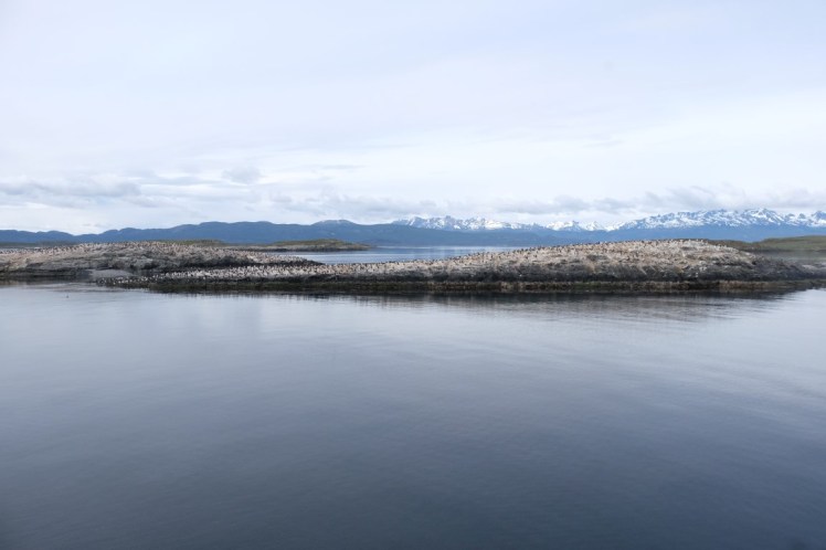 DSCF6272 (Medium).JPG