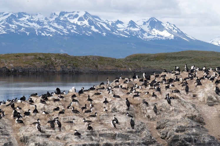 DSCF6273 (Medium).JPG