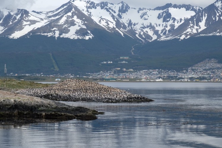 DSCF6284 (Medium).JPG