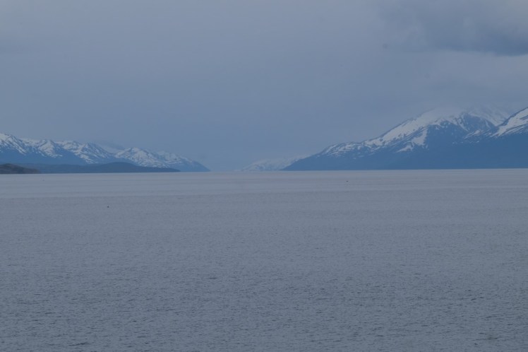 DSCF6295 (Medium).JPG