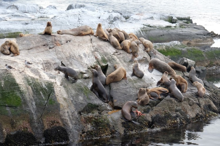 DSCF6302 (Medium).JPG