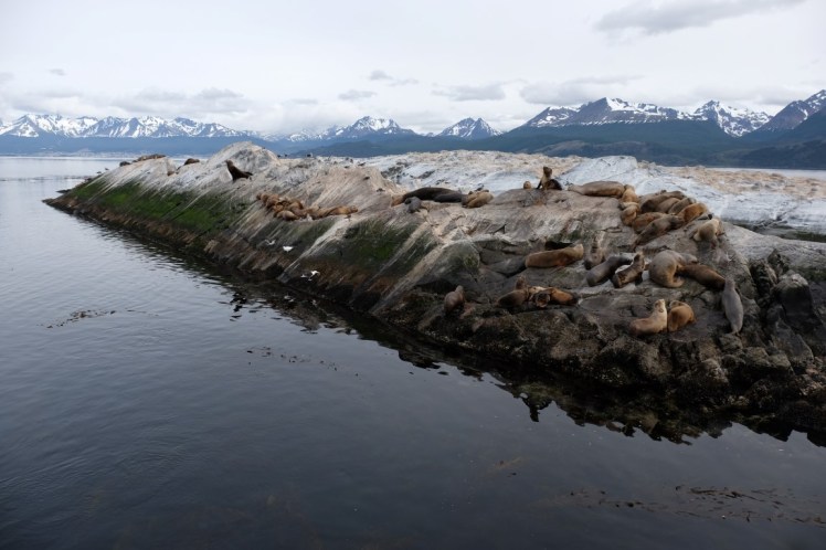 DSCF6310 (Medium).JPG