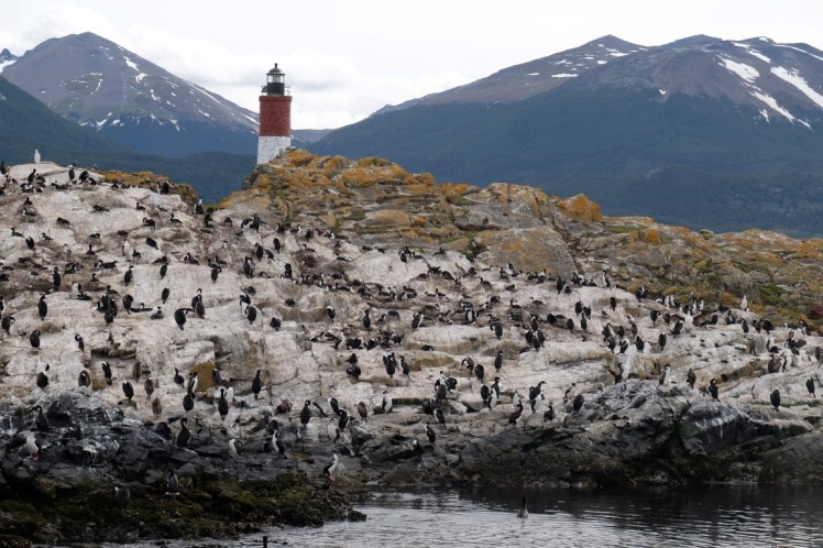 DSCF6326 (Medium).JPG