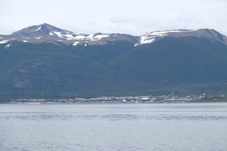 DSCF6377 (Medium).JPG