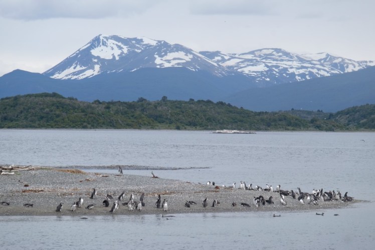 DSCF6408 (Medium).JPG