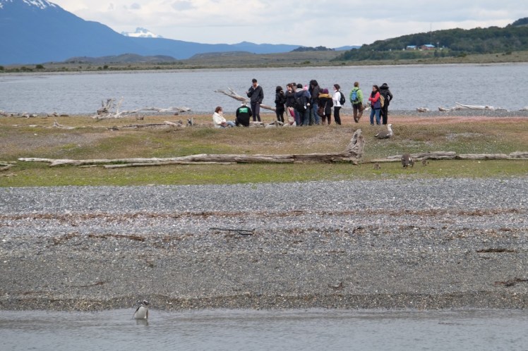 DSCF6410 (Medium).JPG