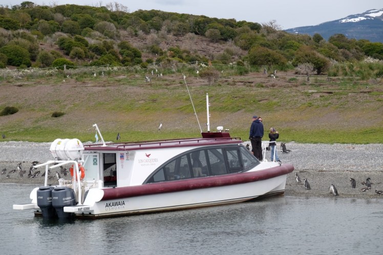 DSCF6411 (Medium).JPG