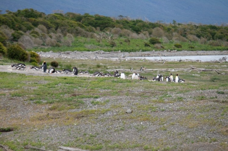 DSCF6448 (Medium).JPG