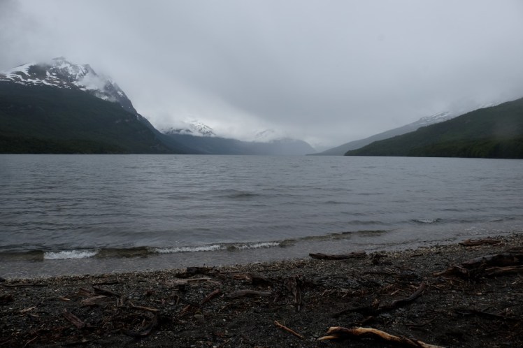 DSCF6803 (Medium).JPG