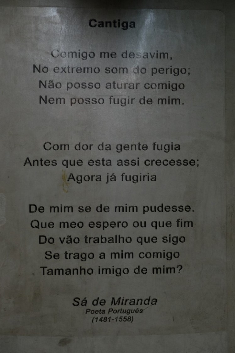 DSCF6952 (Medium).JPG