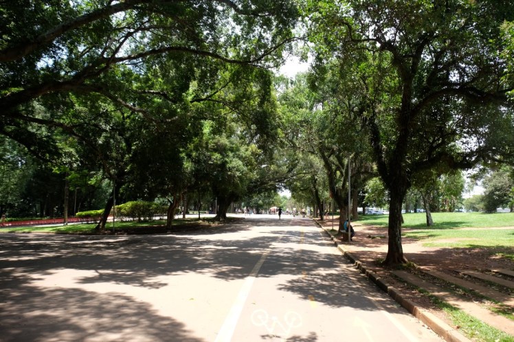 DSCF6988 (Medium).JPG